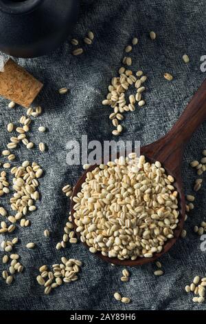 Raw Organic Italian Pearl Barley in a Bowl Stock Photo