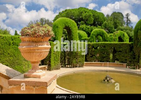 Green Labyrinth in Garden Stock Photo