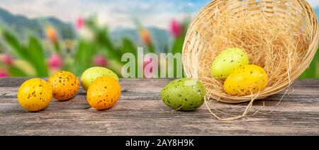 easter eggs on a table with basket and tulips blurry background Stock Photo