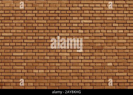 Meerkat colored brick wall background Stock Photo