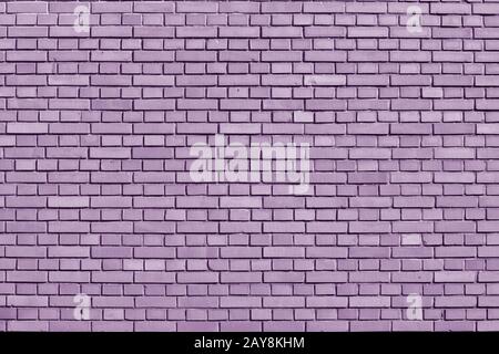 Crocus Petal colored brick wall background Stock Photo