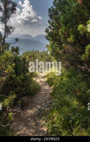 Path on the Mittenwald via ferrata Stock Photo