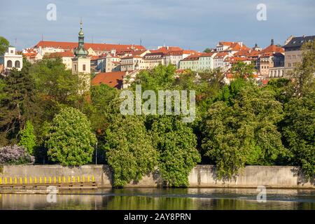 Blooming trees over the river, in the background houses above Prague Castle Stock Photo