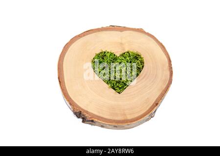 A green moss-filled heart on a birch wood slice, isolated on white Stock Photo