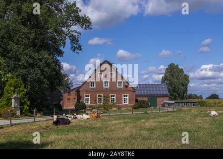 Farm in the Münsterland region Stock Photo