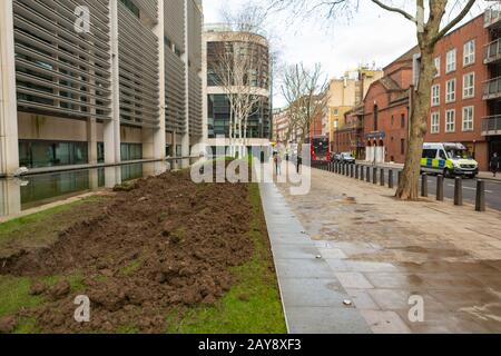 Damaged grass bed, Home Office, Marsham Street, London, UK Stock Photo