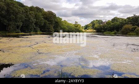 Pond near the Admissions Hut into  Lyme Park, Disley in Cheshire, UK Stock Photo