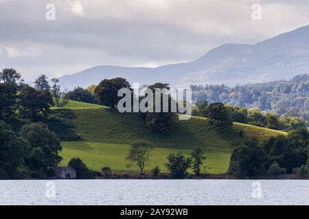 Pasture with grazing sheep near Lake Windermere, Cumbria in England Stock Photo