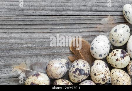 Quail eggs  on the wooden background Stock Photo
