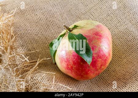 One pomegranate on a brown sackcloth (burlap)- traditional organic food concept demonstration Stock Photo