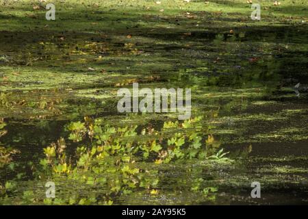 Water surface, background image Stock Photo