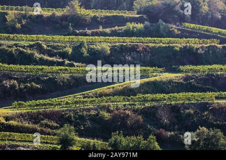 Kaiserstuhl is a valley in Germany, with many wonderful landscapes Stock Photo