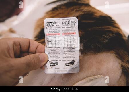 Paris, France - Jul 20, 2019: Overhead view of cat after surgery operation vet cabinet visit rehabilitation after treatments for cats with Onsior Robenacoxib pills blister Stock Photo