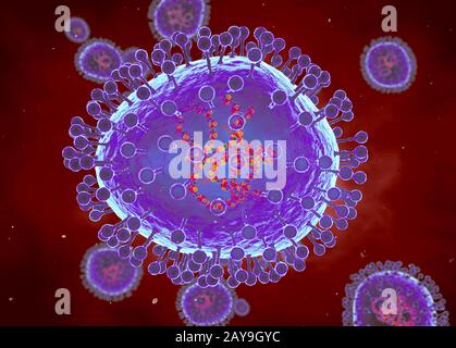 Human metapneumoviruses, illustration Stock Photo