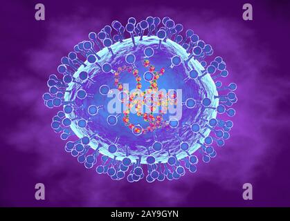 Human metapneumovirus, illustration Stock Photo