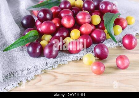 Red and yellow ripe plums on the table. Stock Photo