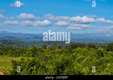 View of the forest and the mountains of Aberdare Park Stock Photo