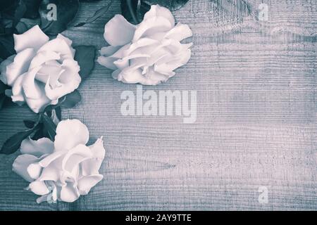 Luxury yellow roses on a background of light wood Stock Photo