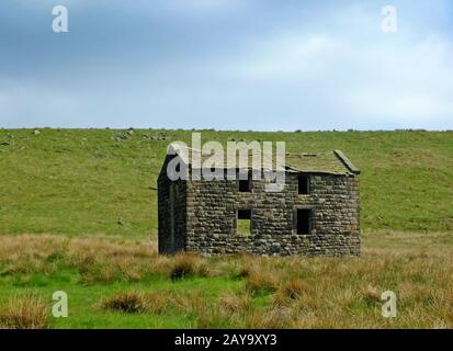 an old abandoned stone farmhouse in green pasture on high pennine moorland with bright blue sky Stock Photo