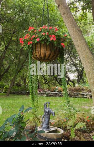 Hanging basket with red Impatiens and cascading Dichondra argentea 'Silver Falls' in rustic backyard garden in late summer. Stock Photo