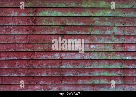 Grunge old red wooden fence with green moss patterns. High quality texture and background Stock Photo