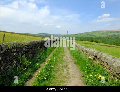 long straight country lane with dry stone walls surrounded by green pasture with wildflowers in beau Stock Photo