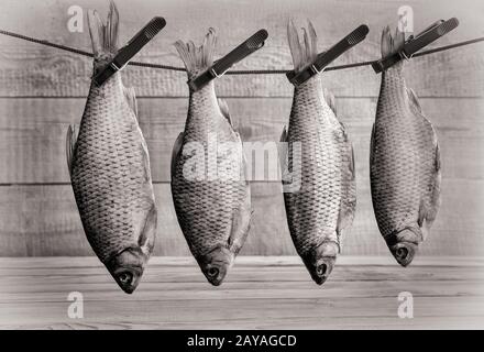 Dried roach hanging on a rope on clothespins Stock Photo