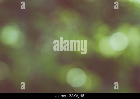 green retro look bokeh background Stock Photo