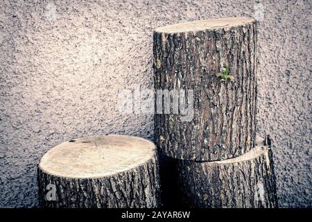 The trunk of a sawn tree, cut into three parts Stock Photo - Alamy