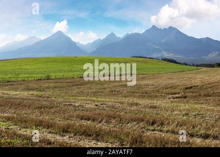rural landscape of slovakia in summer. empty wheat field in august. high tatras mountain ridge in the distance. sunny weather with clouds on the sky Stock Photo