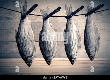 Dried roach hanging on a rope on clothespins Stock Photo