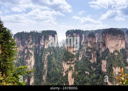 Zhangjiajie Forest Park. Pillar mountains rising from the canyon. Wulingyuan, China Stock Photo