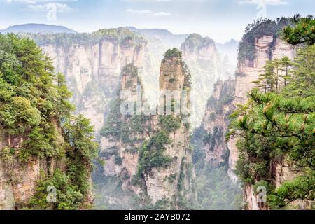 Zhangjiajie Forest Park. Pillar mountains rising from the canyon. Wulingyuan, China Stock Photo