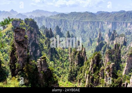 Zhangjiajie Forest Park. Pillar mountains rising from the canyon. Wulingyuan, China Stock Photo