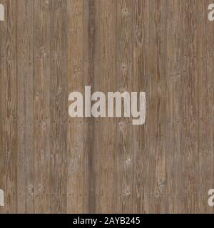 The background image with the texture image of a tree. Stock Photo