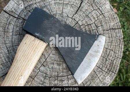 A blade of woodcutter ax with wooden handle closeup on old weathered tree trunk Stock Photo