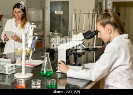 Team of two female laboratory technicians working in chemical or pharmaceutical laboratory Stock Photo