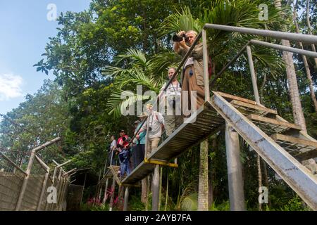 Tourists at the Sun Bear Sanctuary at Samboja near Balikpapan, on Kalimantan, Indonesia. Stock Photo
