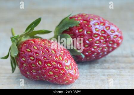 Two strawberries on the surface of the wooden table. Stock Photo