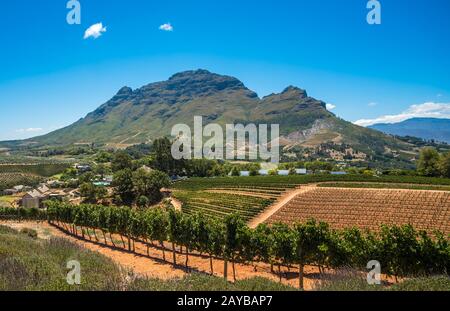 Beautiful landscape of Cape Winelands, wine growing region in South Africa Stock Photo