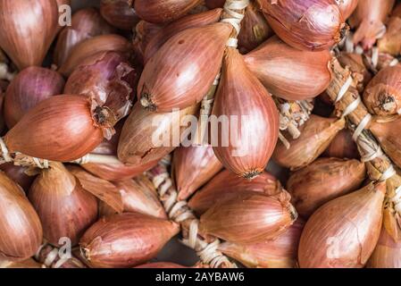 fresh shallots at farmers market Stock Photo