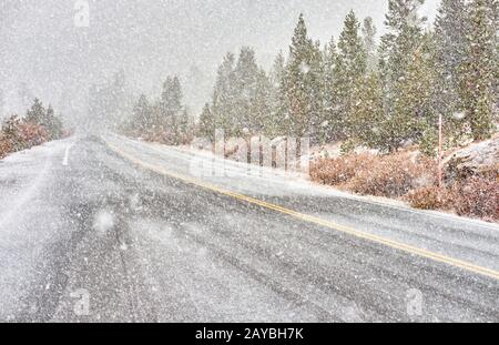 Snowstorm beginning in Yosemite National Park. Wet snowy road. Stock Photo