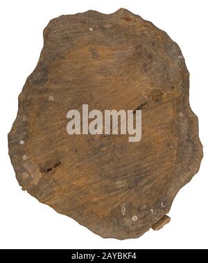 Sawn trunk with wood texture on white background. Stock Photo