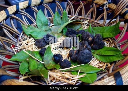 Black truffles Stock Photo