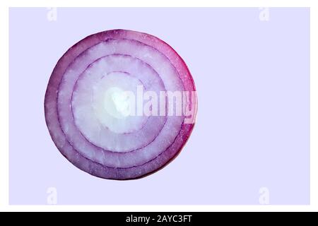 Cross-section of the blue onion bulbs, top view. Stock Photo