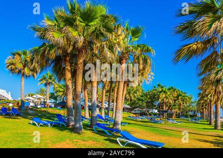 Sun loungers on the beach Stock Photo