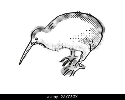 Kiwi New Zealand Bird Cartoon Retro Drawing Stock Photo