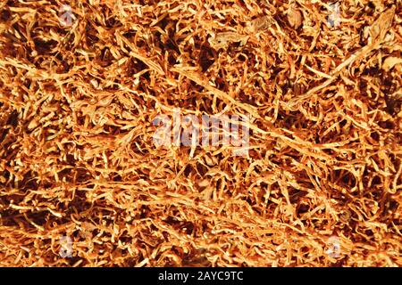 a close up of tobacco Stock Photo