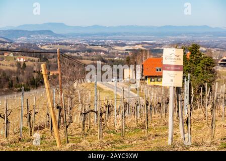Panorama of Vineyards. Kastenburg south Styria travel spot Stock Photo