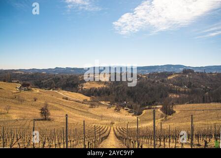 Panorama of Vineyards. Leibnitz area south Styria travel spot Stock Photo